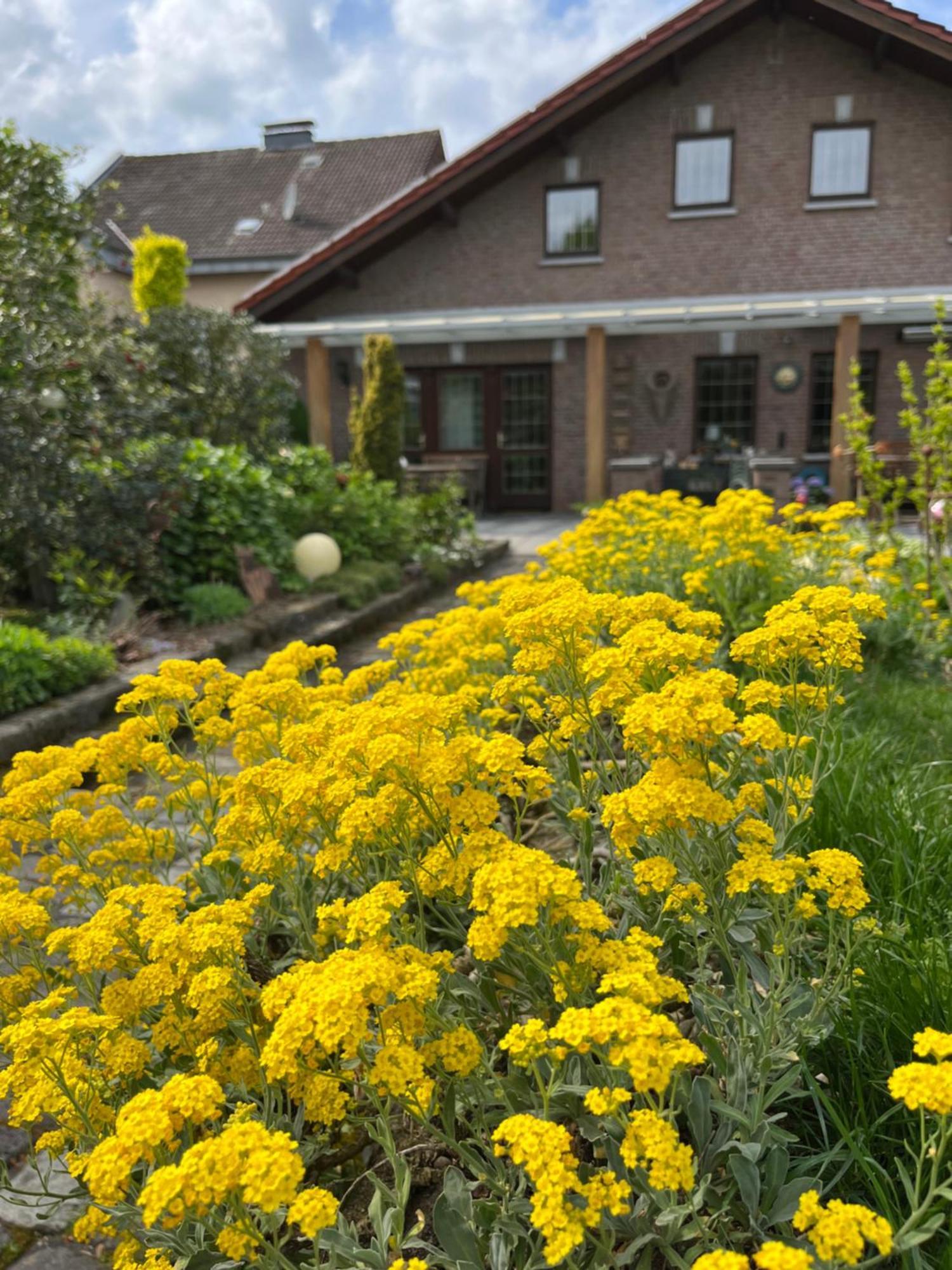 Ferienwohnung Jansen Selfkant Kültér fotó